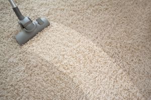 Quality Carpet Cleaning